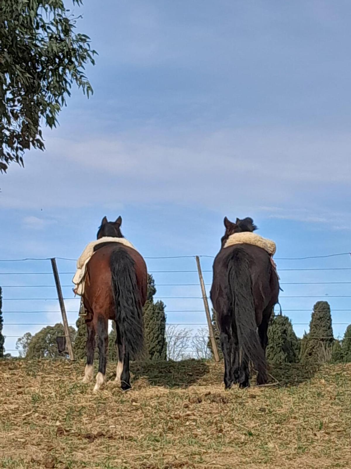 Chacras De Azcona Hosteria Azul Eksteriør bilde