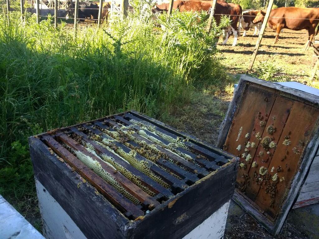 Chacras De Azcona Hosteria Azul Eksteriør bilde