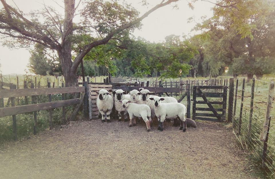 Chacras De Azcona Hosteria Azul Eksteriør bilde